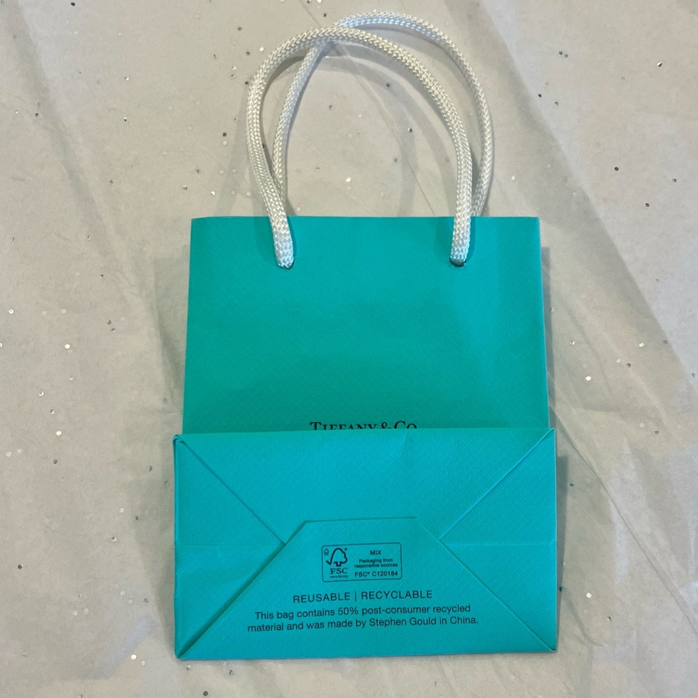 Tiffany & Co. Turquoise Paper Gift Bag with White Rope Handles - Picture 5 of 5
